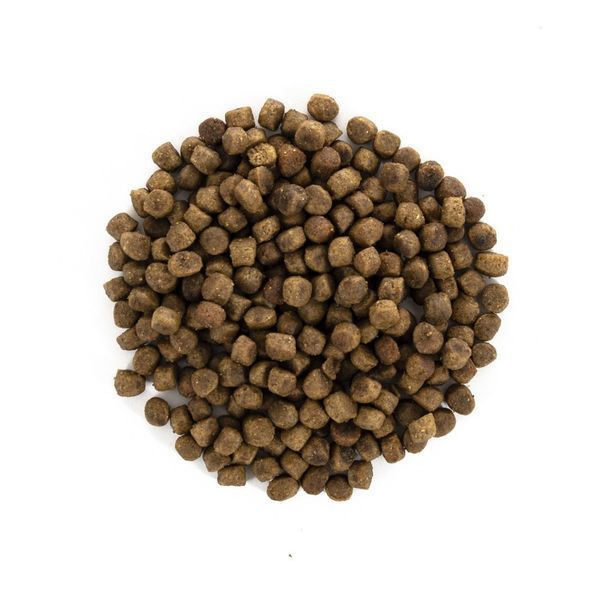 Сухой беззерновой корм для котят Brit Care Cat Grain Free Kitten Healthy Growth & Development с курицей и индейкой, 2 кг 00-00001475 фото