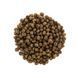 Сухой беззерновой корм для котят Brit Care Cat Grain Free Kitten Healthy Growth & Development с курицей и индейкой, 2 кг 00-00001475 фото 2
