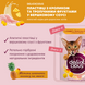 Вологий корм (пауч) Delickcious для котів, пластівці з кроликом та тропічними фруктами у соусі, 80 г СП-00000068 фото 2