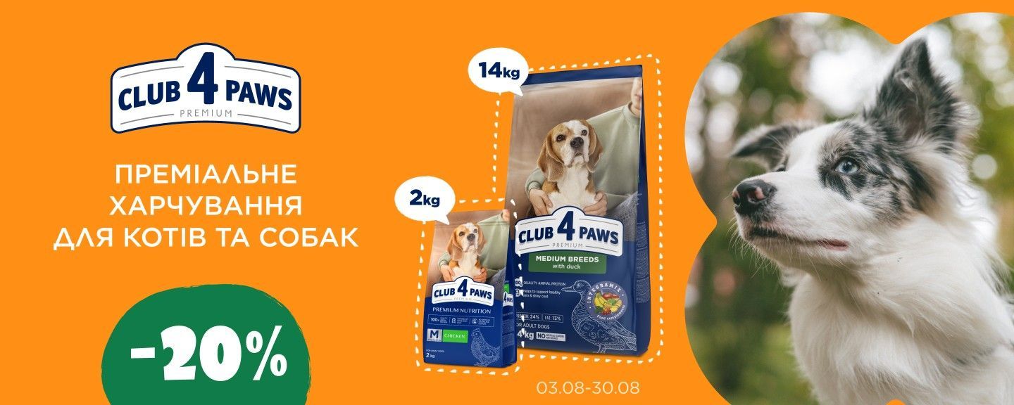 Клуб 4 лапи собаки