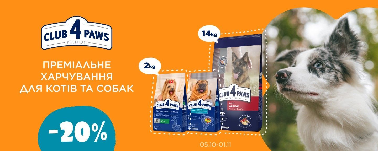 Клуб 4 лапи собаки