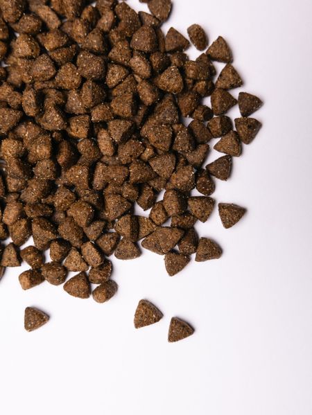 Сухий корм для дорослих собак SAVORY Sterilized (зі свіжою індичкою), 3 кг 00-00018618 фото