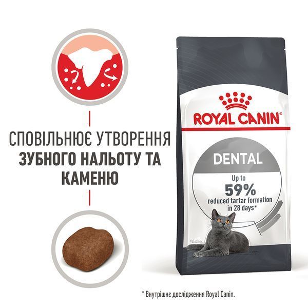 Сухий корм для дорослих котів для профілактики зубного каменю Royal Canin Dental Care (FCN), 400 г 00-00007738 фото