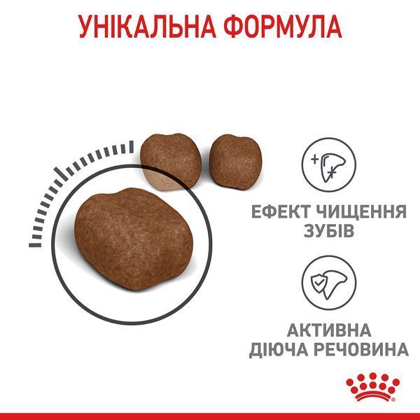 Сухий корм для дорослих котів для профілактики зубного каменю Royal Canin Dental Care (FCN), 400 г 00-00007738 фото