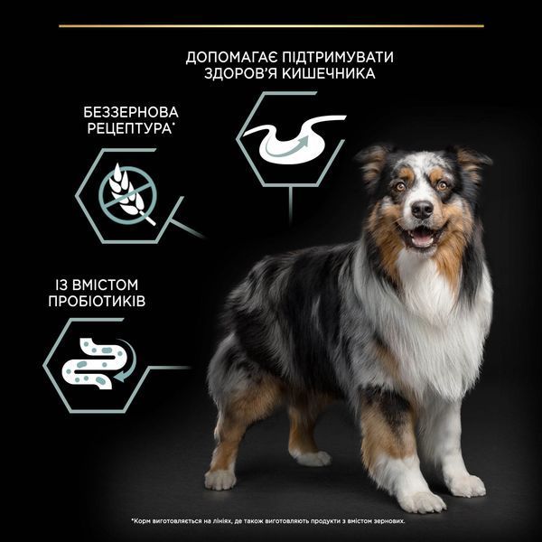 Pro Plan Medium&Large Grain Free Sensitive сухой корм для собак средних и крупных пород с чувствительным пищеварением, с индейкой, 12 кг СП-00000847 фото