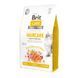 Сухой беззерновой корм для кошек Brit Care Cat Grain Free Haircare Healthy & Shiny Coat с лососем и курицей, 2 кг 00-00001481 фото 1