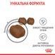 Сухий корм для дорослих котів для профілактики зубного каменю Royal Canin Dental Care (FCN), 400 г 00-00007738 фото 2