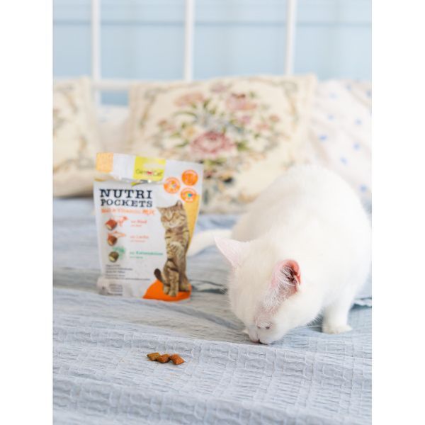 Хрусткі ласощі для котів GimCat (ДжимКет) Nutri Pockets із мультивітаміном для підтримки імунітету, 150 г 00-00006700 фото