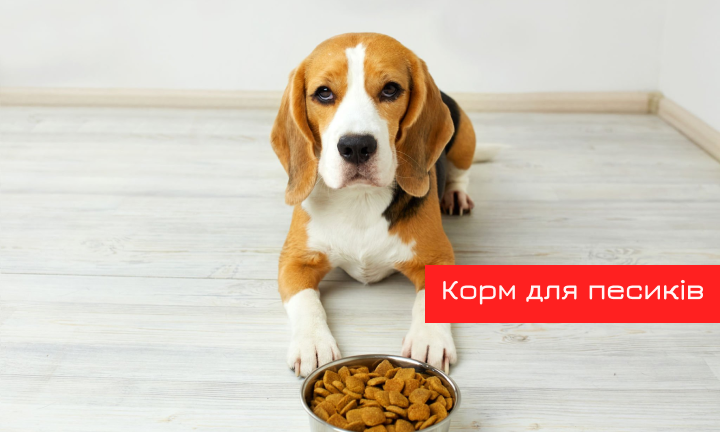 Премиум корм для собак