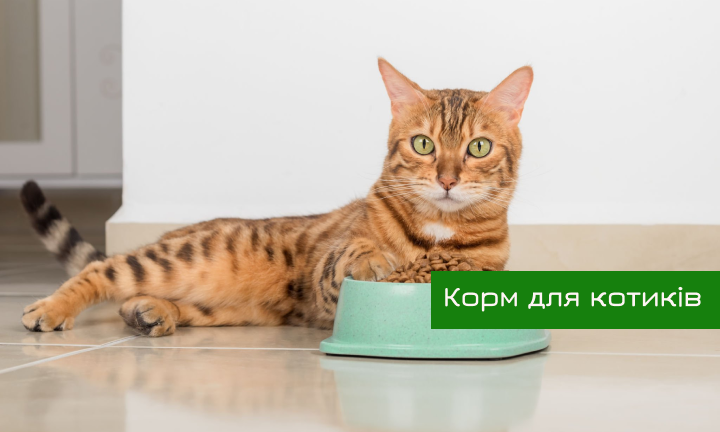 Супер-премиум корм для кошек