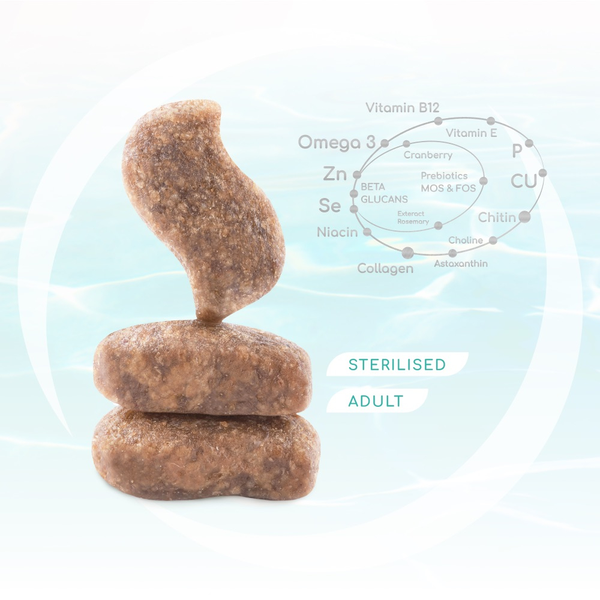 Корм сухой для кошек Optimeal Beauty Fitness Sterilised беззерновой на основе морепродуктов, 4 кг 00-00017975 фото