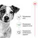 Влажный корм для собак малых пород Royal Canin Mini Adult кусочки в соусе 85 г 00-00001349 фото 3