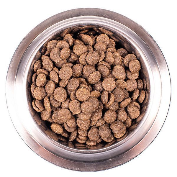 Сухий корм Monge Dog Monoprotein, All Breeds Adult, ягня з рисом та картоплею, 15 кг 00-00018484 фото