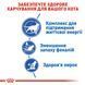 Сухий корм Royal Canin (Роял Канін) Indoor 7+ для домашніх котів старше 7 років, 1,5 кг 00-00014663 фото 5