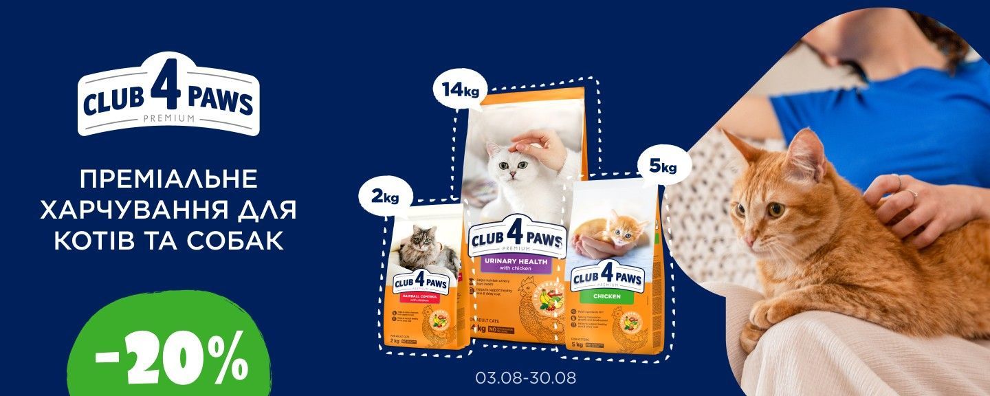 Клуб 4 лапи коти