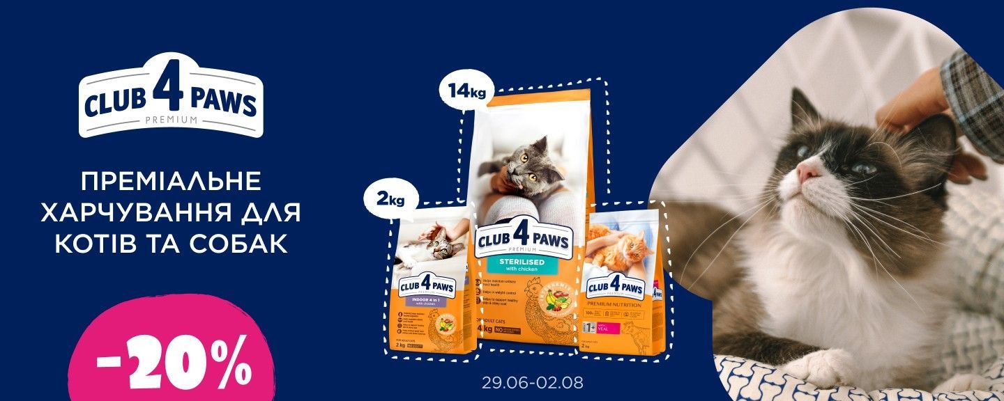 Клуб 4 лапи коты