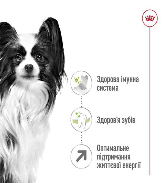 Royal Canin X-Small Adult 8+ сухий корм для собак малих порід старіше 8 років, 3 кг 00-00001346 фото