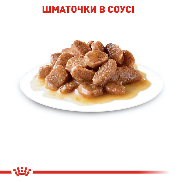 Влажный корм для пожилых кошек (старше 7 лет) Royal Canin (Роял Канин) Instinctive 7+ Gravy в соусе, 85 г (пауч) 00-00009799 фото