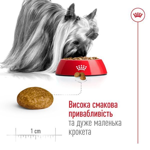Royal Canin X-Small Adult 8+ сухий корм для собак малих порід старіше 8 років, 3 кг 00-00001346 фото