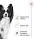 Royal Canin X-Small Adult 8+ сухий корм для собак малих порід старіше 8 років, 3 кг 00-00001346 фото 3