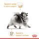 Вологий корм для собак породи померанський шпіц Royal Canin Pomeranian Adult паштет 85 г 00-00001356 фото 5