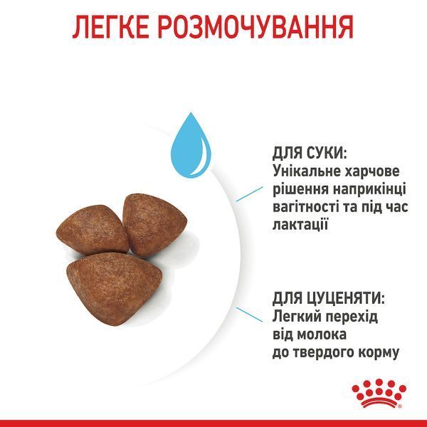 Сухий корм для цуценят дрібних порід та сук у період лактації Royal Canin Mini Starter Mother & Babydog 00-00018443 фото