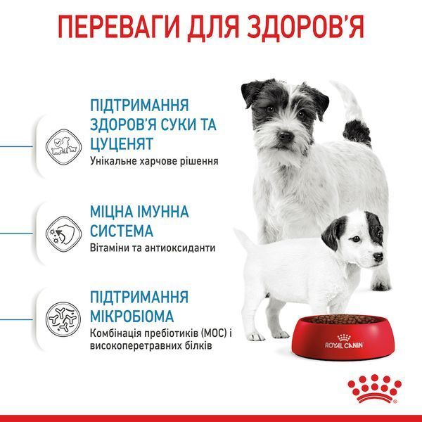 Сухий корм для цуценят дрібних порід та сук у період лактації Royal Canin Mini Starter Mother & Babydog 00-00018443 фото