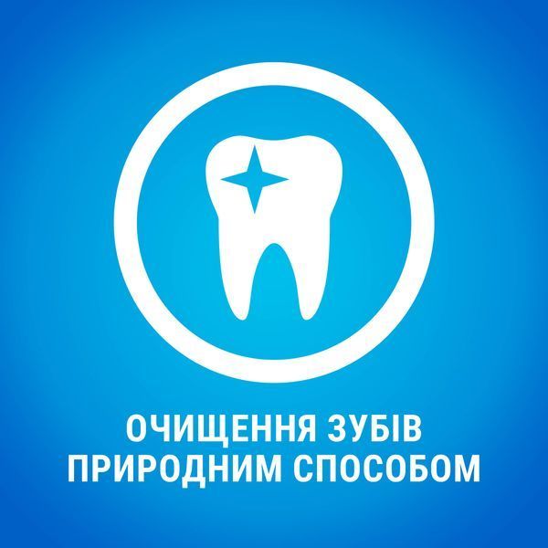 Ласощі для собак Purina DentaLife Small для малих порід, для підтримки здоров'я порожнини рота, 115 г СП-00001347 фото