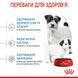 Сухий корм для цуценят дрібних порід та сук у період лактації Royal Canin Mini Starter Mother & Babydog 00-00018443 фото 6