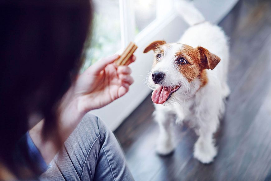 Ласощі для собак Purina DentaLife Small для малих порід, для підтримки здоров'я порожнини рота, 115 г СП-00001347 фото