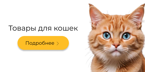 Banner from design