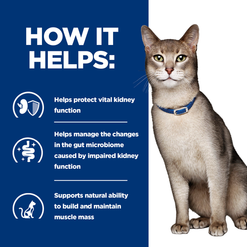 Сухий корм Hill's Prescription Diet k/d Kidney Care (для підтримки функції нирок) з тунцем, 400 г 00-00001816 фото