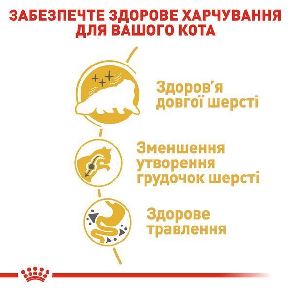Сухий корм для дорослих котів перської породи Royal Canin Persian Adult, 2 кг 00-00001493 фото