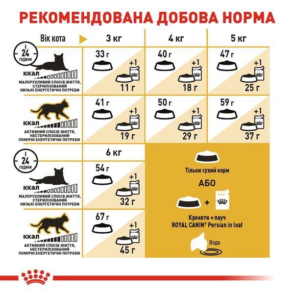 Сухий корм для дорослих котів перської породи Royal Canin Persian Adult, 2 кг 00-00001493 фото
