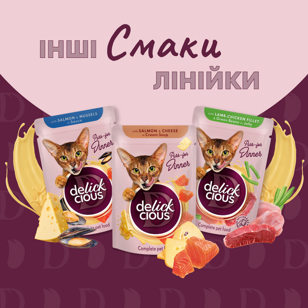 Вологий корм (пауч) Delickcious для котів з качкою та гарбузом у крем-супі, 85 г СП-00000076 фото
