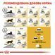 Сухий корм для дорослих котів перської породи Royal Canin Persian Adult, 2 кг 00-00001493 фото 4