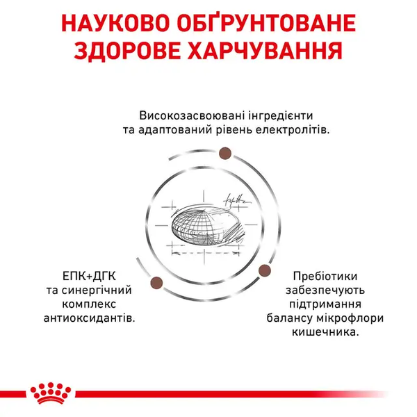 Сухой диетический корм для собак Royal Canin (Роял Канин) Gastrointestinal (Гастроинтестинал) для поддержки пищеварения, 2 кг 00-00001560 фото