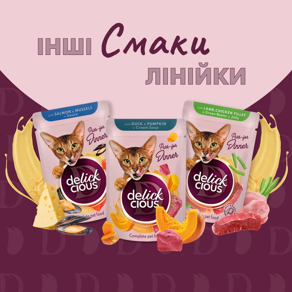 Вологий корм (пауч) Delickcious для котів з лососем та сиром у крем-супі, 85 г СП-00000077 фото