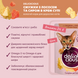 Вологий корм (пауч) Delickcious для котів з лососем та сиром у крем-супі, 85 г СП-00000077 фото 2