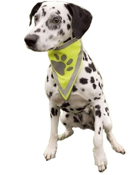 Косинка для собак на шию 22-28 см світловідбивна TRIXIE TX-30121 фото