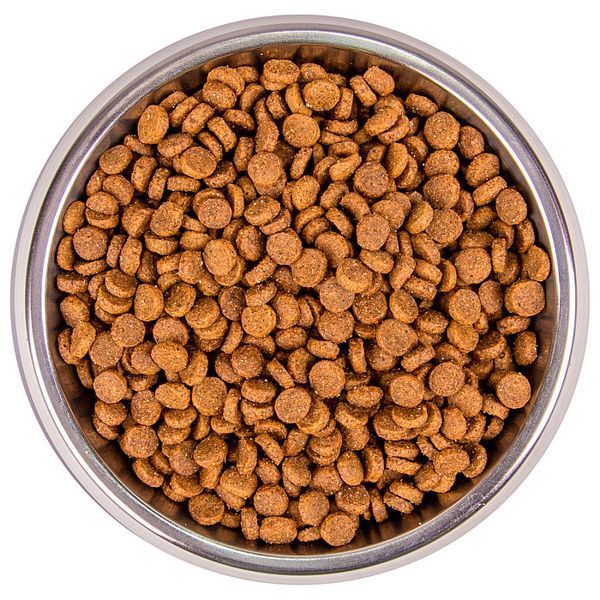 Сухой корм Monge (Монж) Cat Adult Monoprotein для взрослых кошек с кроликом, 10 кг 00-00016013 фото