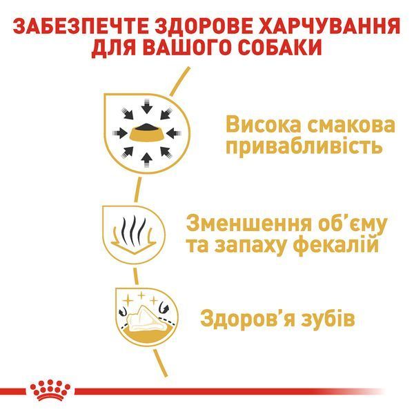 Royal Canin Chihuahua Adult сухой корм для собак породы чихуахуа, 1,5 кг 00-00018432 фото