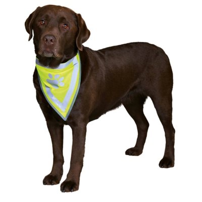 Косинка для собак на шию 29-42 см світловідбивна TRIXIE TX-30122 фото