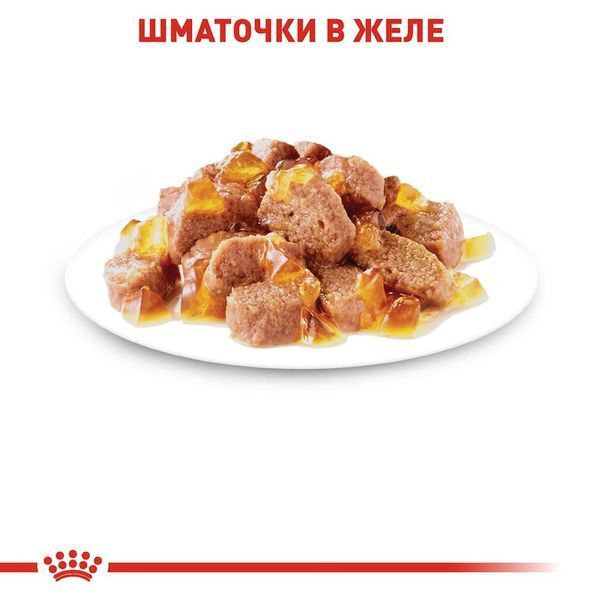 Влажный корм для взрослых кошек Royal Canin Instinctive в желе, 85 г 00-00001655 фото