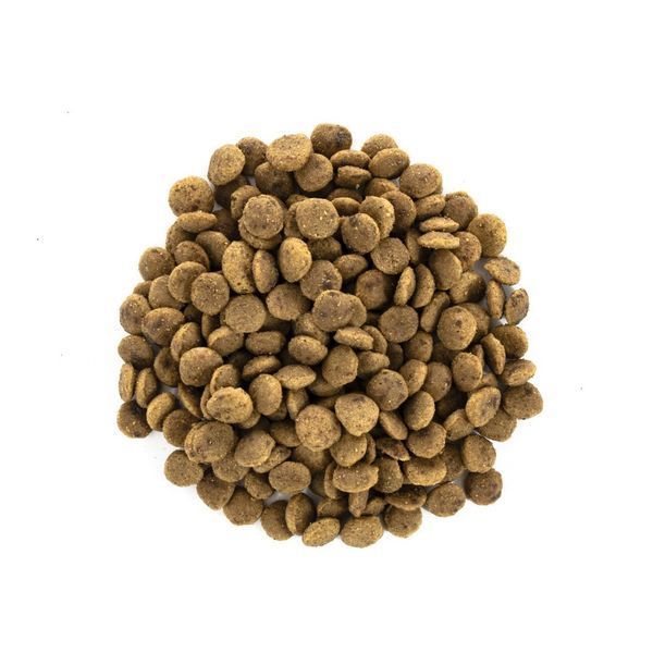 Сухой корм Brit Care (Брит Кеар) Large Cats для взрослых кошек крупных пород, 400 г 00-00006537 фото