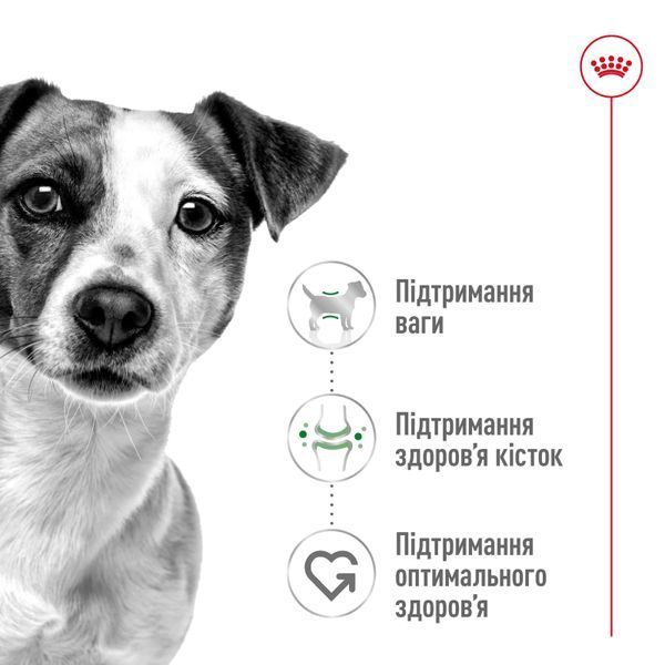 Royal Canin Mini Adult сухой корм для собак малых пород, 8 кг 00-00018451 фото