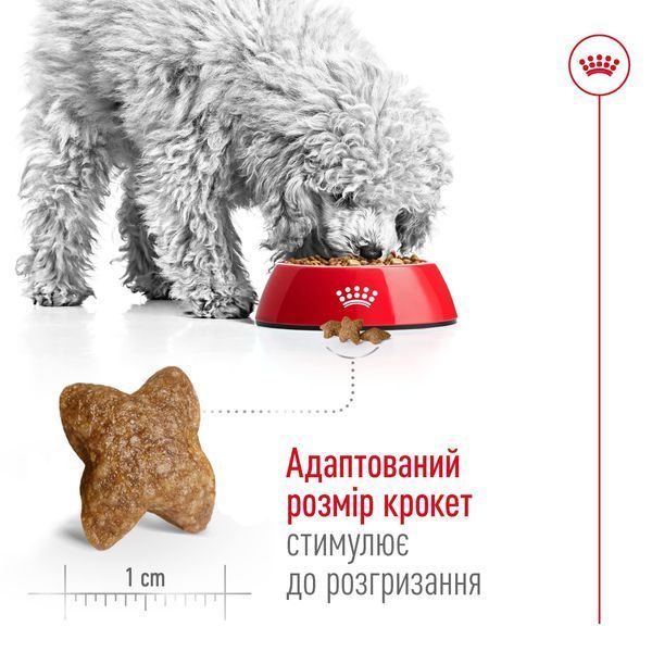 Royal Canin Mini Adult сухой корм для собак малых пород, 8 кг 00-00018451 фото