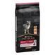 Pro Plan Medium Puppy Sensitive Skin сухой корм для щенков средних пород с чувствительной кожей, с лососем, 12 кг 00-00000867 фото 2