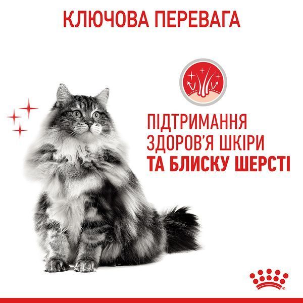Влажный корм для взрослых кошек Royal Canin Hair & Skin Care в соусе для поддержания здоровья кожи и блеска шерсти, 85 г 00-00001656 фото