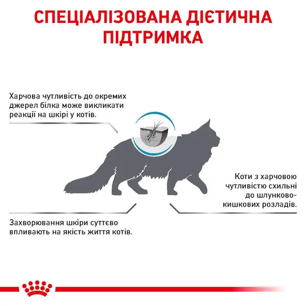 Сухий корм Royal Canin Skin & Coat (для котів при дерматозах та випадінні шерсті), 400 г 00-00010407 фото